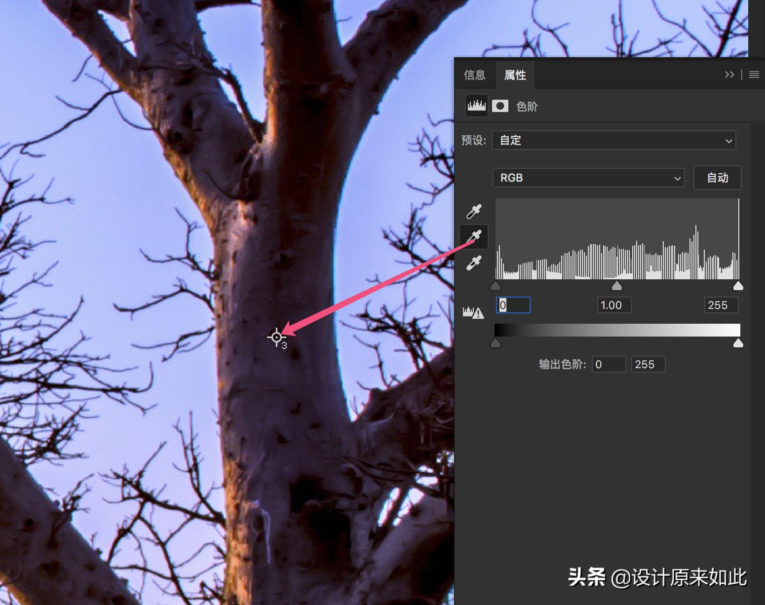 ps可选颜色与色阶调色的区别,ps怎么调色照片背景颜色