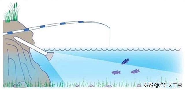 夜钓灯光诱鱼,夜钓什么颜色的灯光最吸引鱼