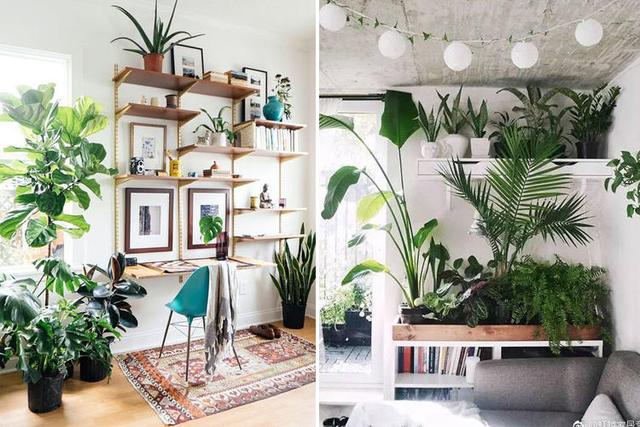 装修完供暖会加速甲醛释放吗,装修板材甲醛释放量标准