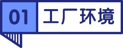 枫趣盛宴九种肉猫粮测评,加拿大枫趣宠粮怎么样