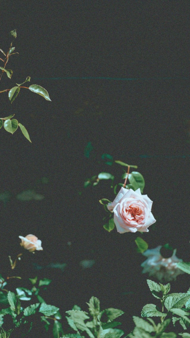 干脆拒绝犹豫答应是一种高情商,干脆点的拒绝就是一种负责