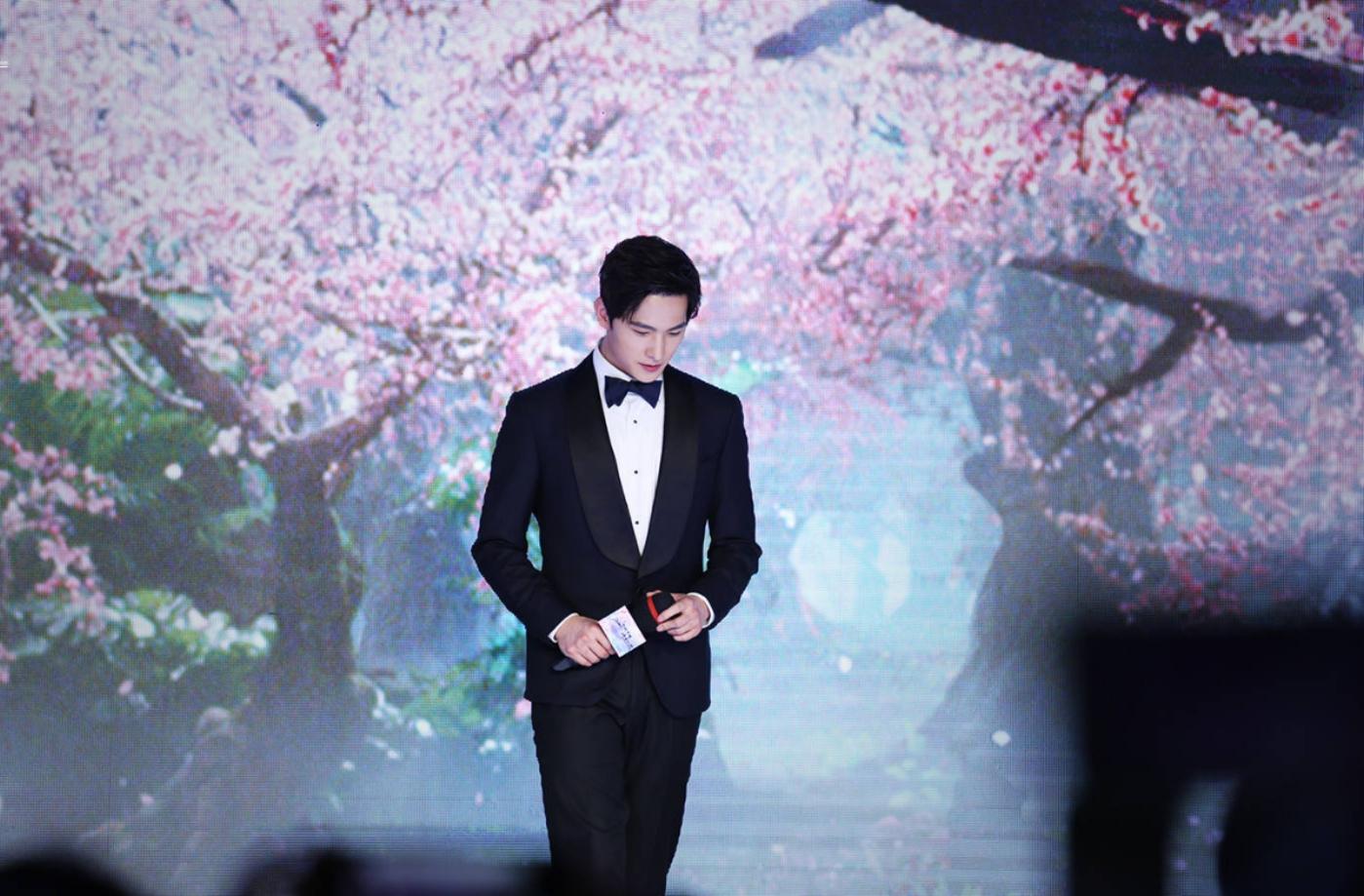 杨洋全职高手奖项,杨洋全职高手反败为胜