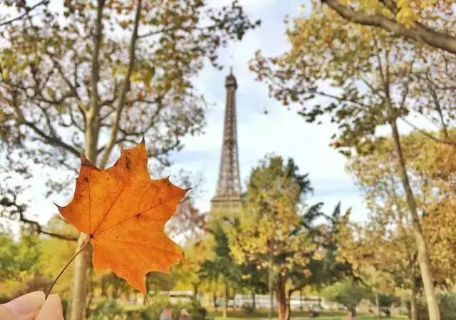 寻找幸运锦鲤活动在哪,寻找锦鲤