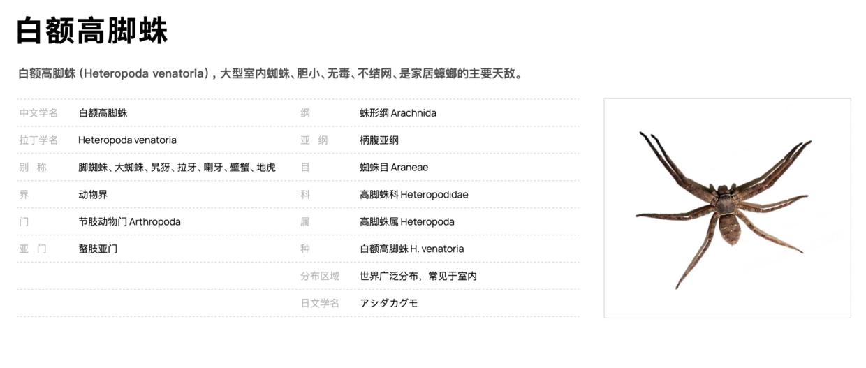 家中有蟑螂怎么一网打尽,家中发现一只蟑螂怎么办