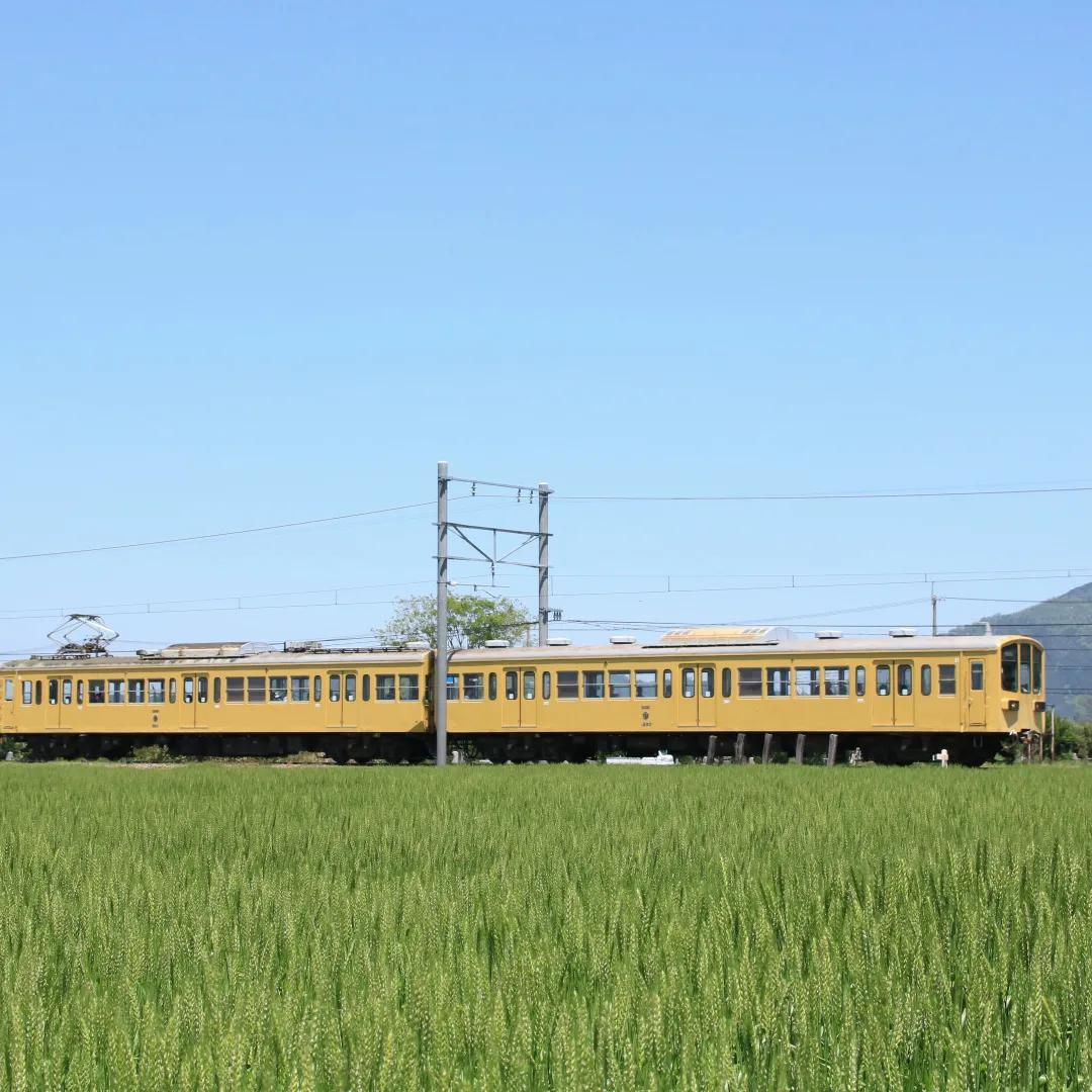 日本有过革命史吗,日本有过什么革命