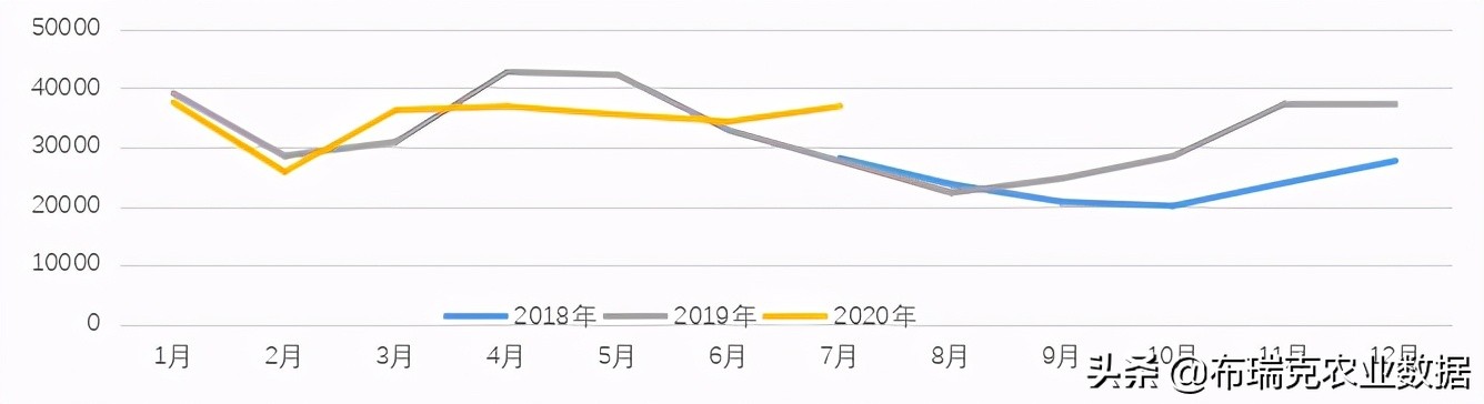 中国肉羊市场分析报告,羊产业动态分析报告