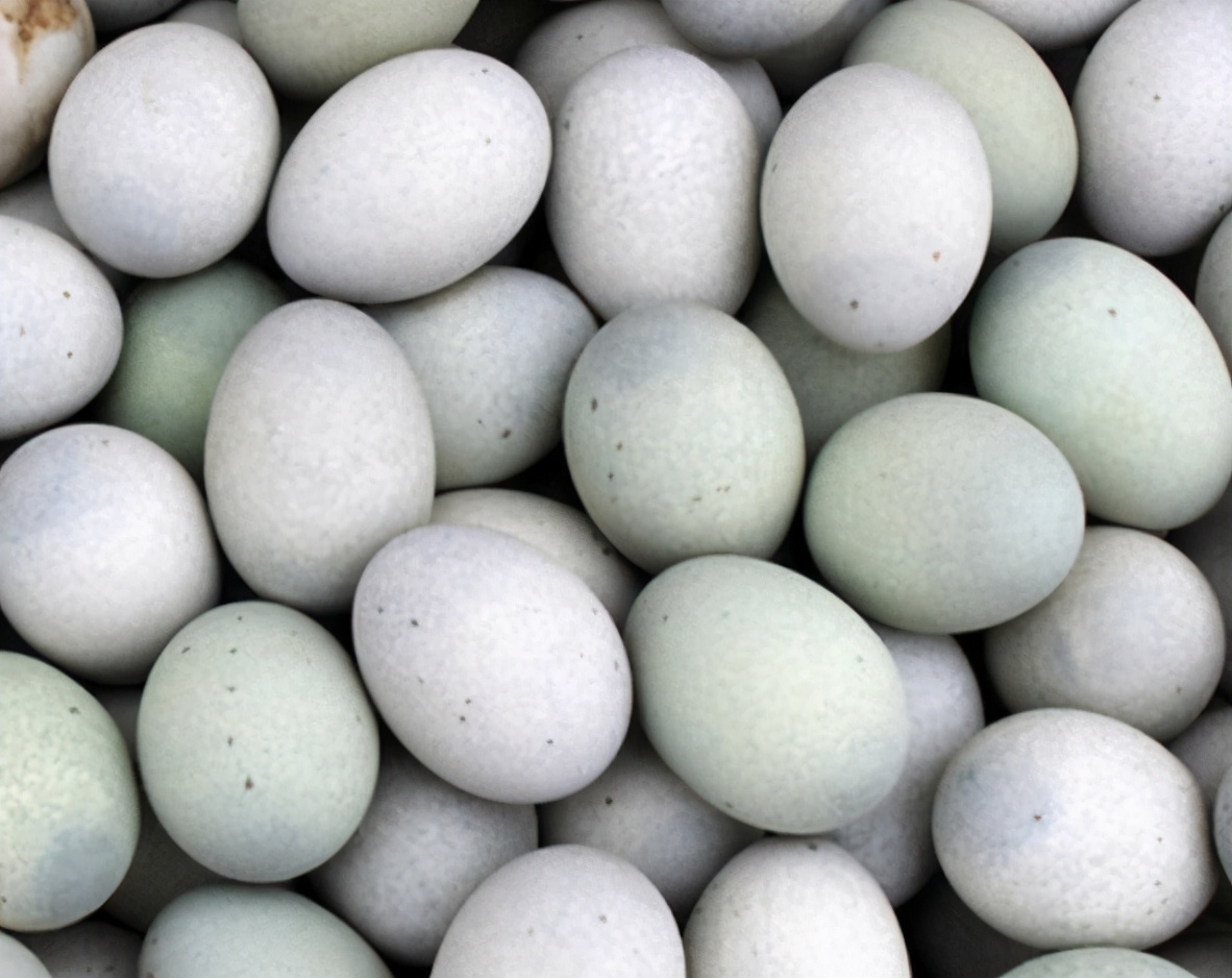 拌皮蛋时，碱味重还涩口？加这3样，去异味，嫩滑爽口，越吃越香