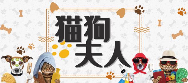 犬骨髓炎症状是什么,犬骨髓炎