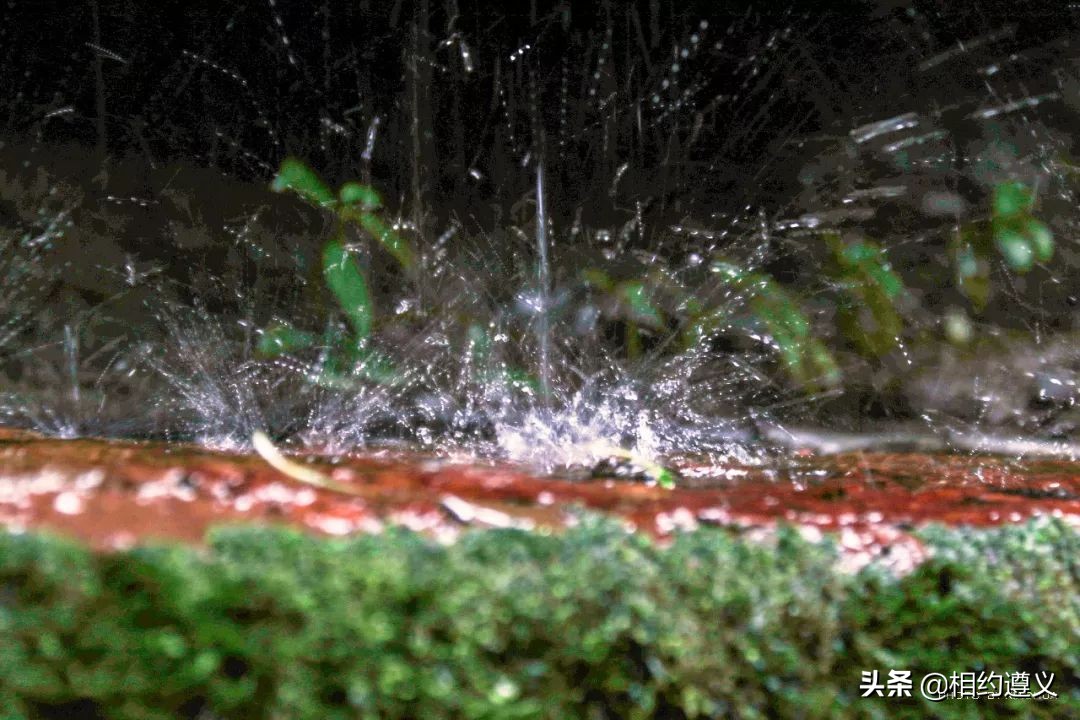 赤水大瀑布 侏罗纪公园 (世界唯一保留的侏罗纪原始公园)