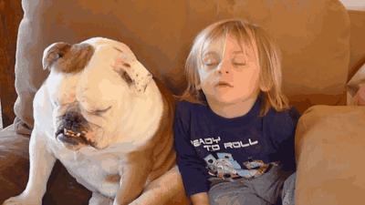 吃夜宵长胖,为什么吃了夜宵反而更容易饿呢