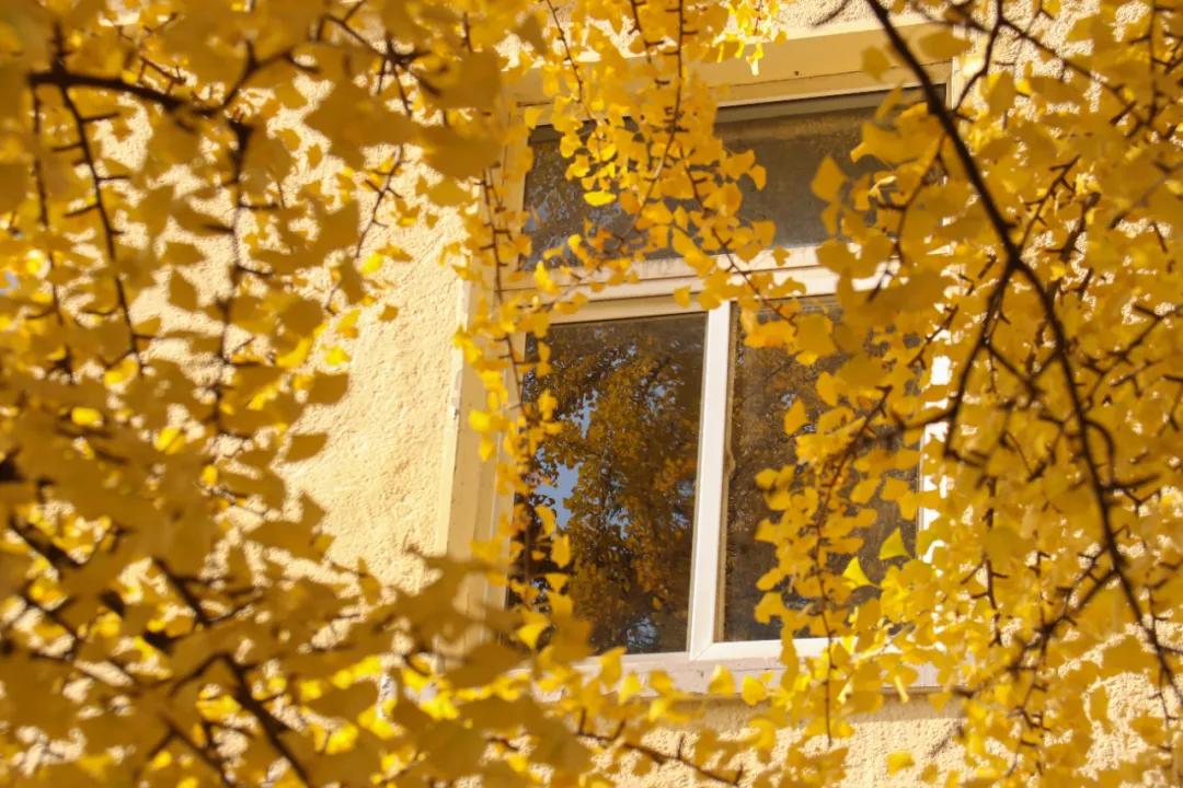 醉美大工秋|读书不觉已秋深，____________