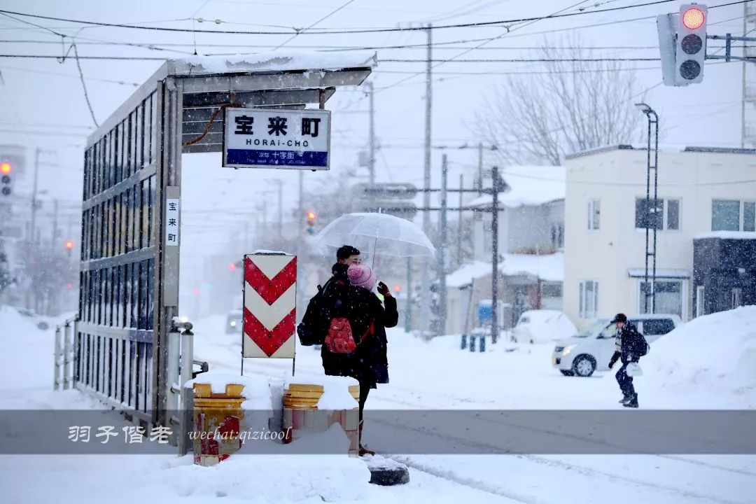 老实说,这一趟北海道就是为了拍好看的照片去的