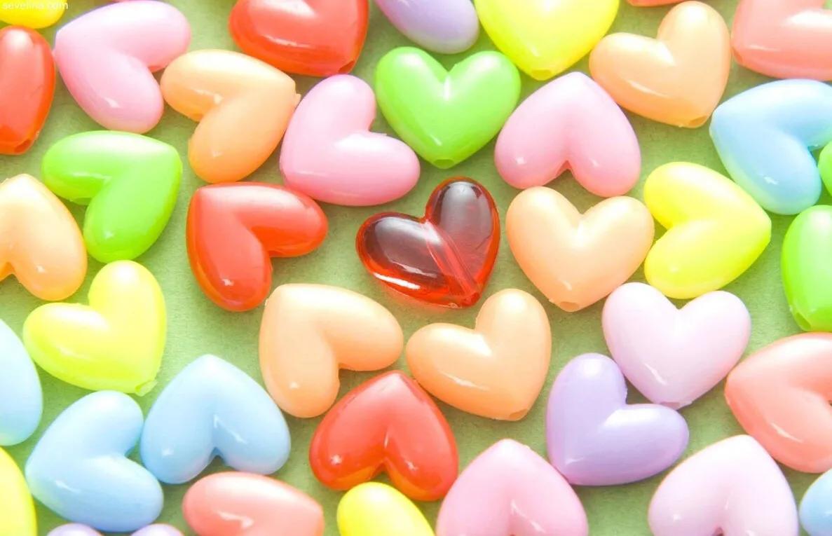 仓鼠去世主人哭了,仓鼠死了小孩哭了