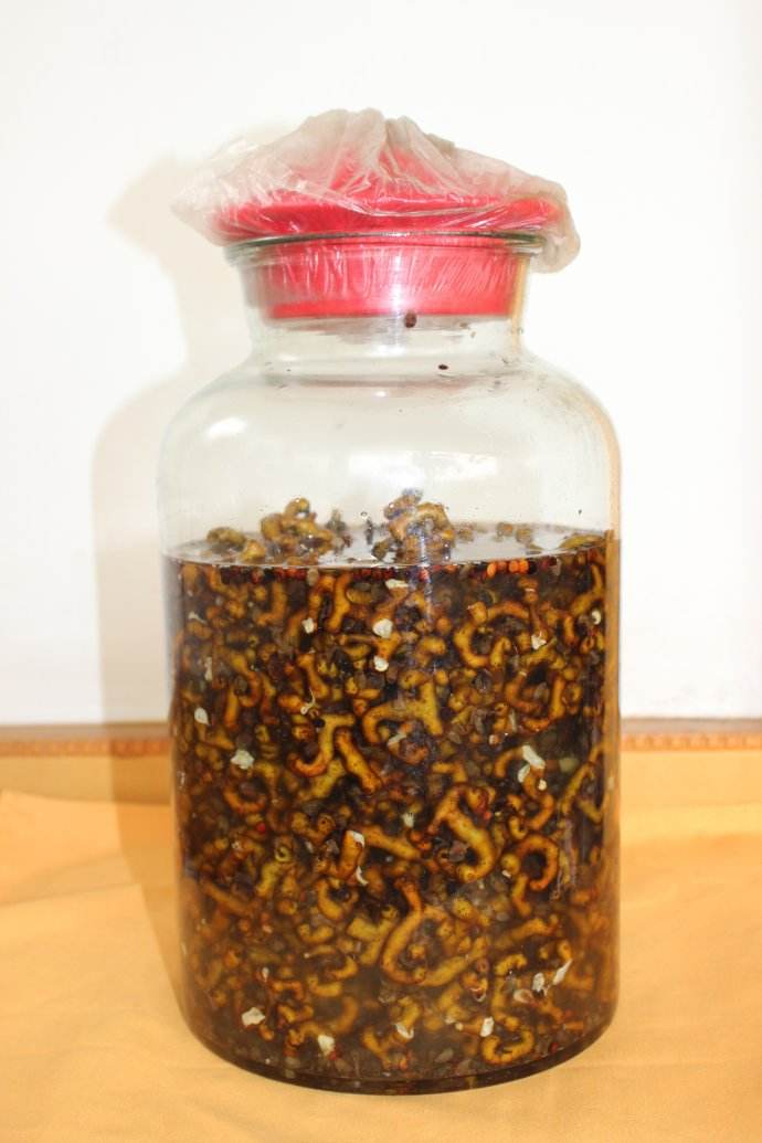 丑陋野果,那些罕见但非常好吃的果子