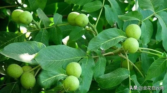 大理什么时候旅游最好,大理一年四季温度是多少