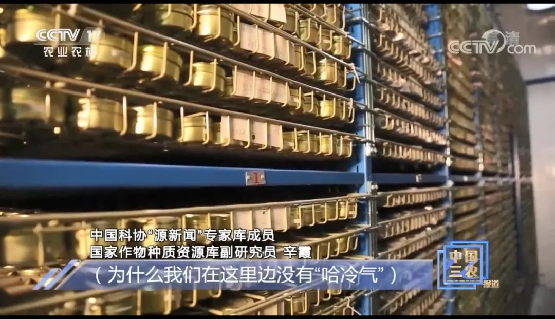 什么样的种子可以确保品相一样,种子如何进入种质库