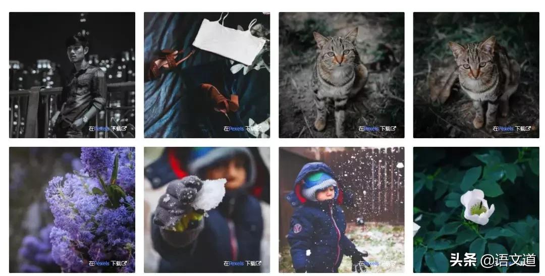 教师备课常用网站免费,教师网站推荐免费