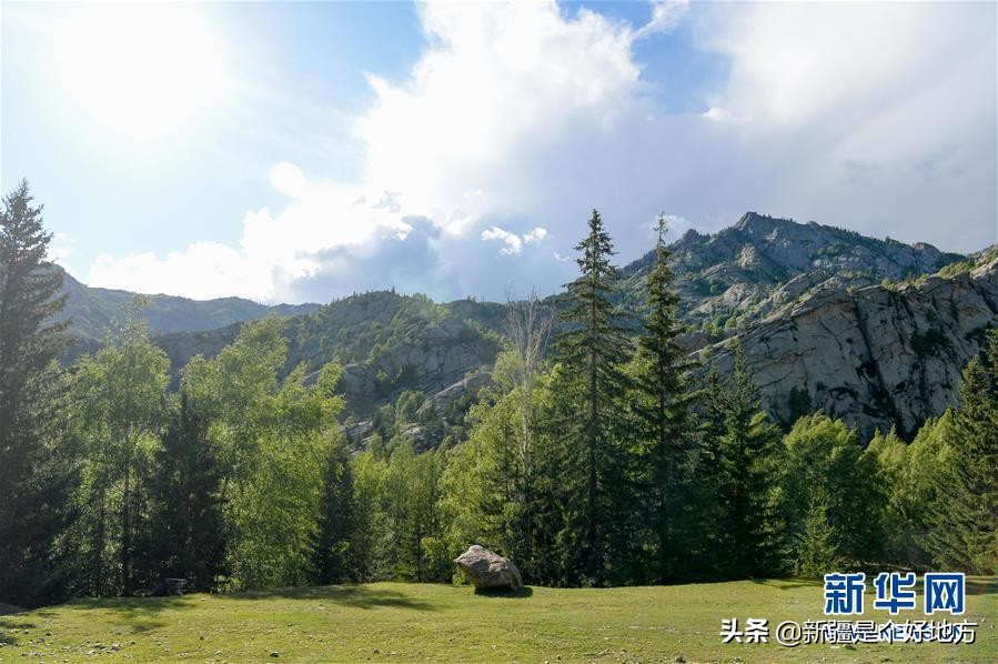 夏季的可可托海视频,夏天可可托海实拍
