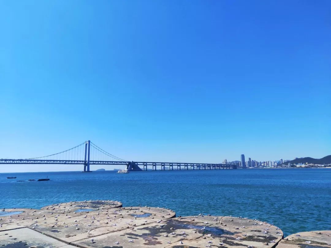 2022春节大连本命年免费景点,大连免费景点排行榜前十名