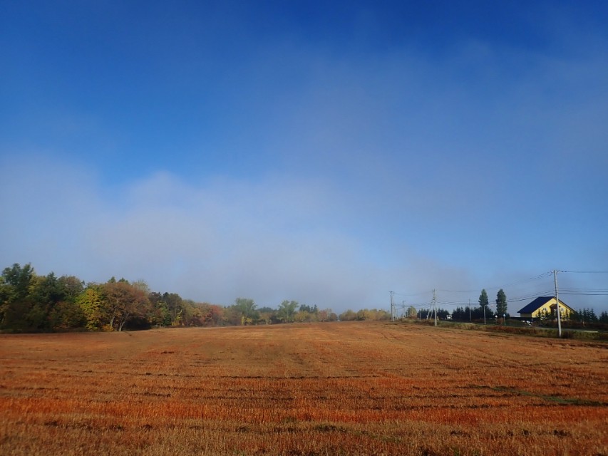 北海道登别到美瑛町需多久,日本北海道美瑛川的雪景