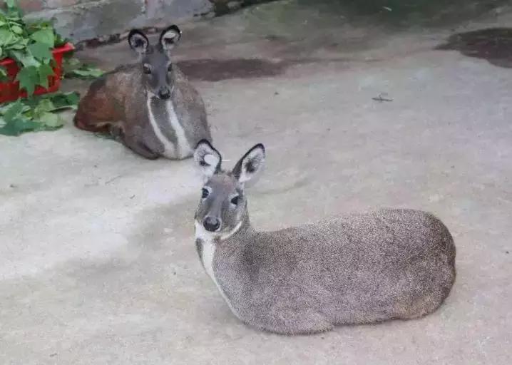 凤县全景图片,陕西凤县高清图片大全