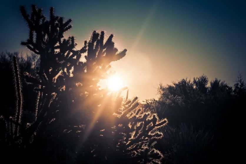 浮生若梦为欢几何经典句子,浮生若梦为欢几何怎样理解这句话
