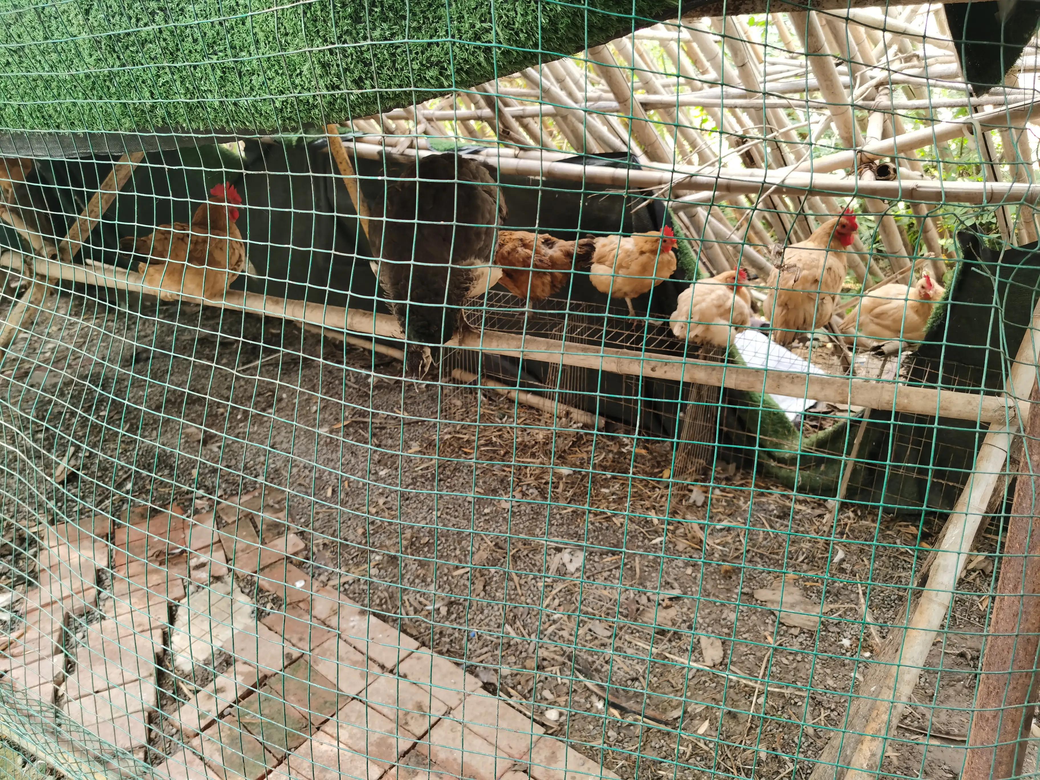 绿地铂瑞酒店沈阳遛娃,武汉汉南遛娃好去处