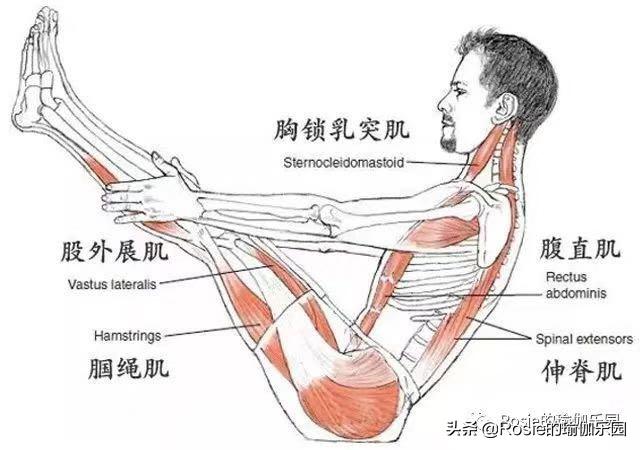 女生怎么练改善斜方肌,斜方肌练大了