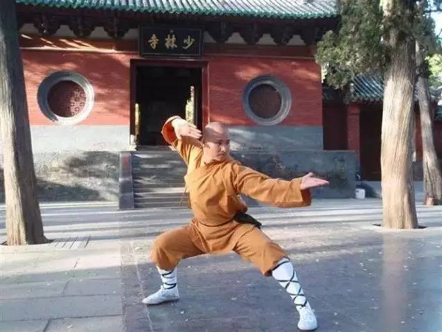 我们眼中的土狗,我们眼中的仰韶