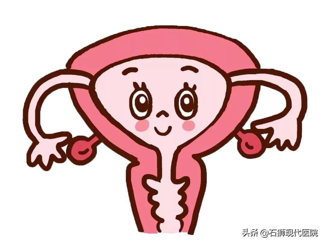 不做盆底肌修复的危害,石狮产后盆底肌修复