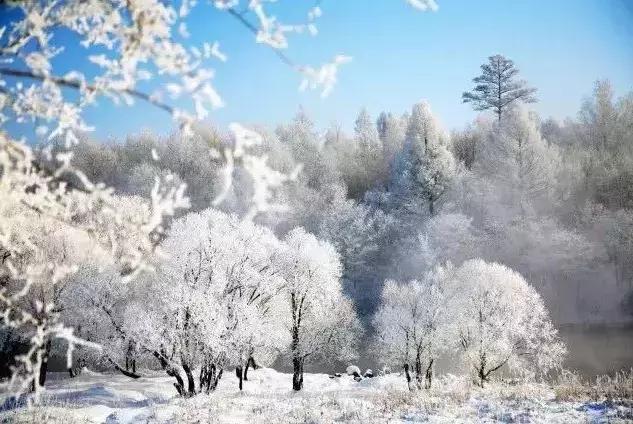 雾凇之美宛若仙境,连云港花果山雾凇美得像仙境