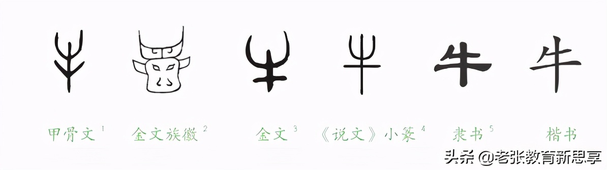 涨知识是什么原因,你知道牛为什么叫做牛吗