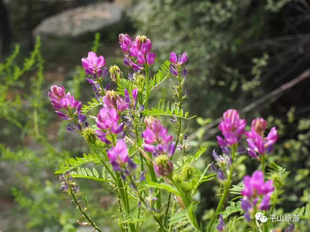 女神节带你去看风景,女神节泡温泉