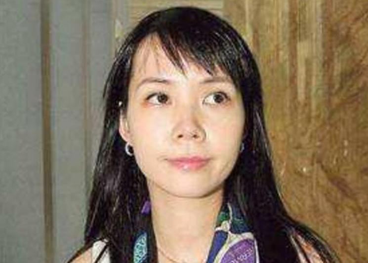 2011年吕丽君,吕丽君亏损20亿买了什么