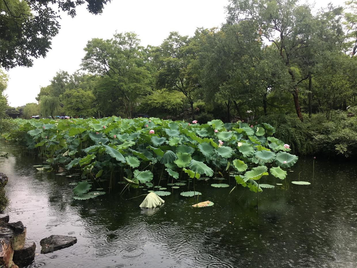 穿越古今美景,苏州拙政园最美的是哪里