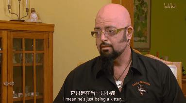 打猫可以纠正猫的坏行为吗,猫犯错了可以关起来吗