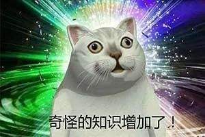 袜子的知识大全,关于袜子你不知道的冷知识