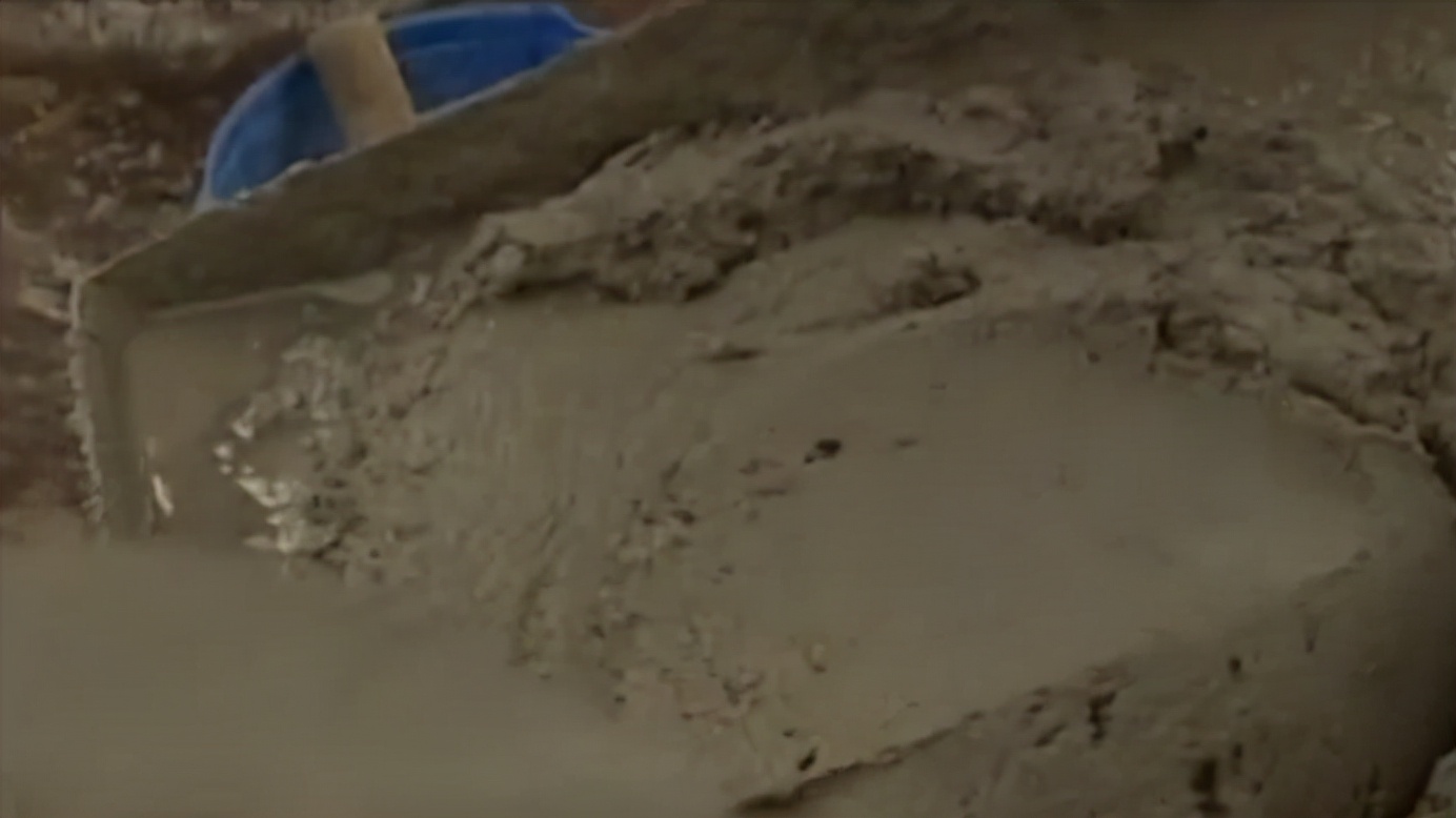 毒蝎进村的真实事件,毒蝎进村的真实原因