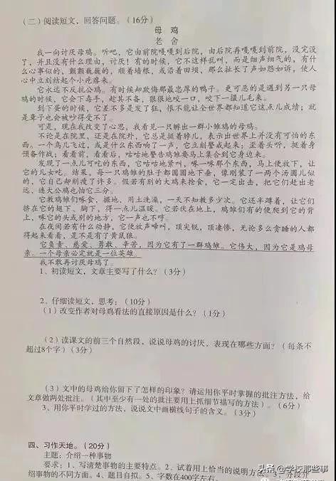 沈阳和平区小学的一年级期末卷,沈阳市和平区四年级期末卷子