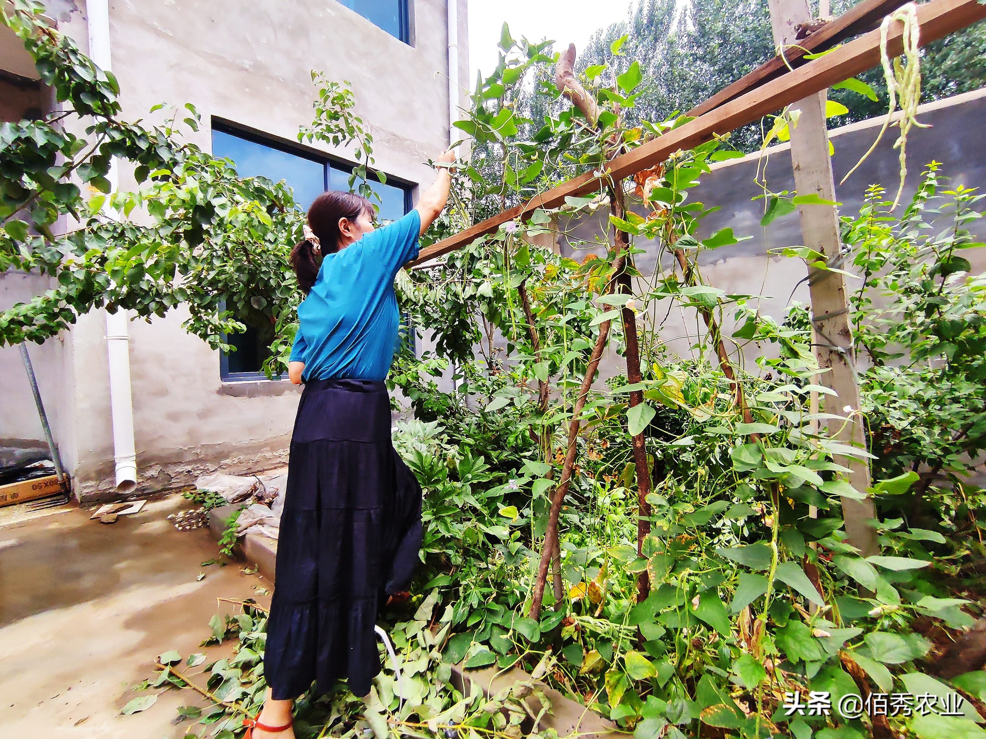 不想打工想做点生意没门路怎么办,回农村创业适合干什么生意