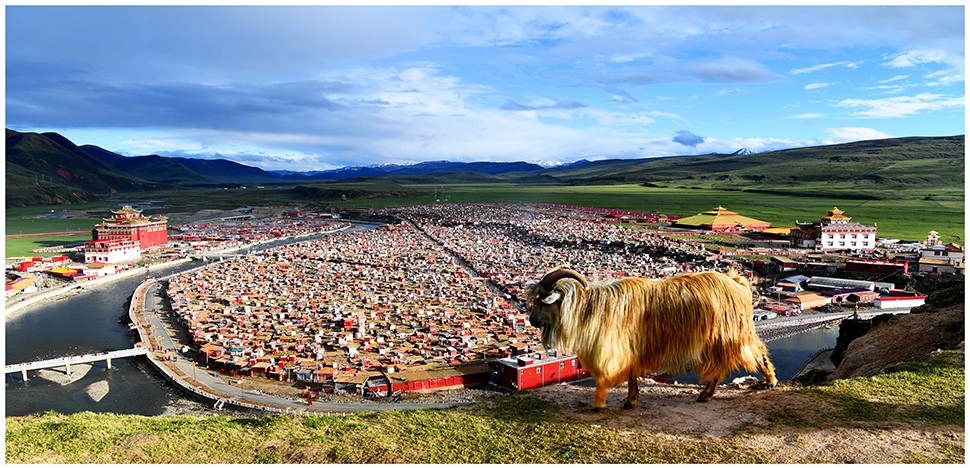 川西环线秋季摄影团,川西秋色摄影之旅