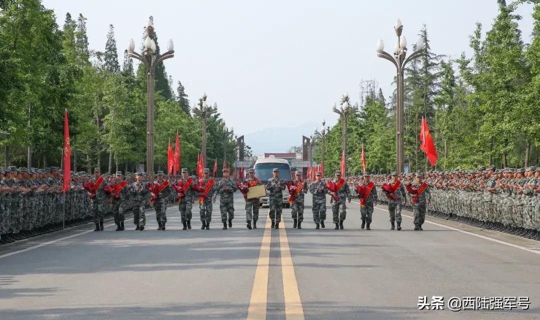 西南军区猎豹,陆军第一兵