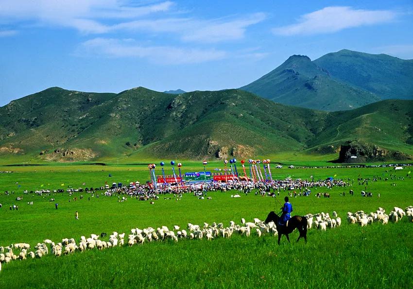 苏炳添,通辽欢迎你!吴智强,快带苏炳添回家