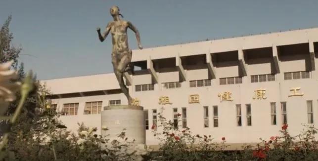 看了冬奥会感受,看了奥运会