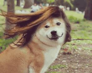 胸部排毒疏通手法,胸部排毒疏通手法完整版