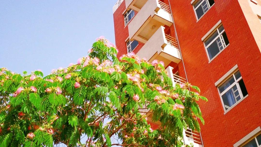 天津高级中学,天津市第二南开中学录取分数线