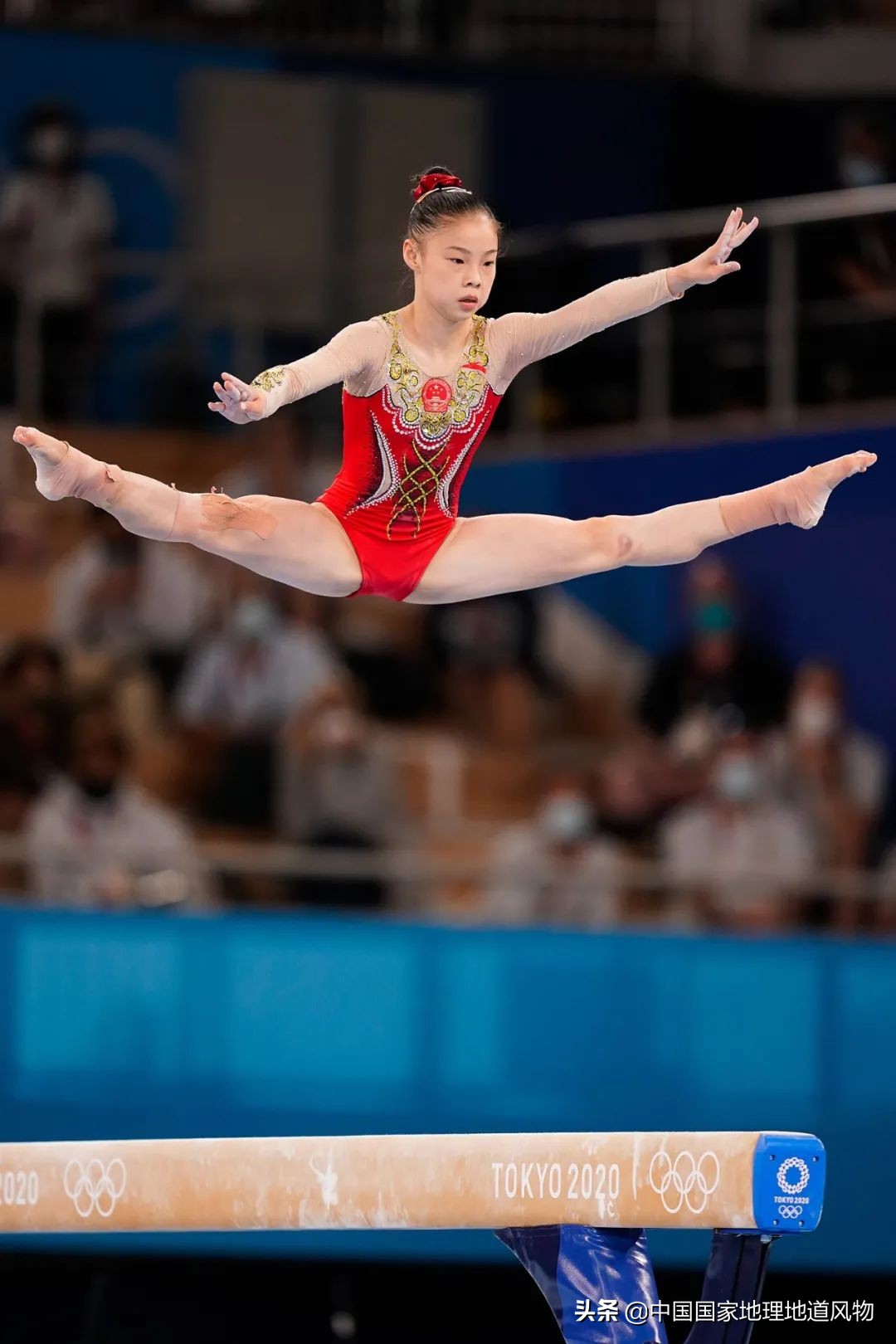 哪个地方的奥运冠军最多,中国哪个县世界冠军最多