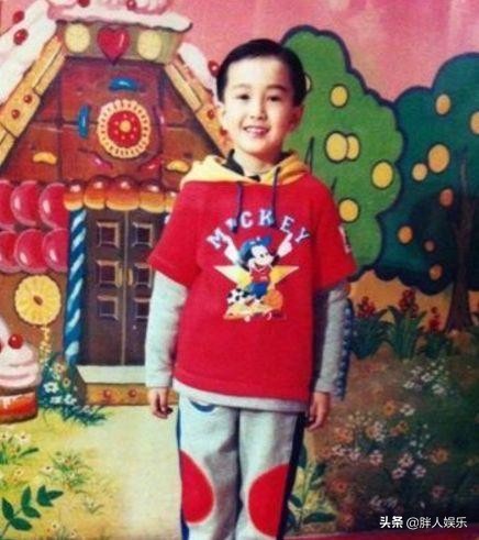 学术造假翟天临起因,翟天临学术造假怎么发现的