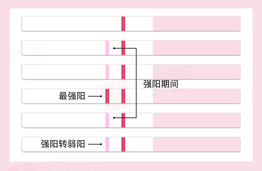 37岁快速受孕,子宫后位如何快速受孕