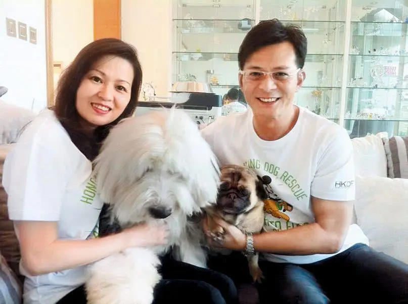 黄日华苗侨伟周润发,黄日华女儿普通话